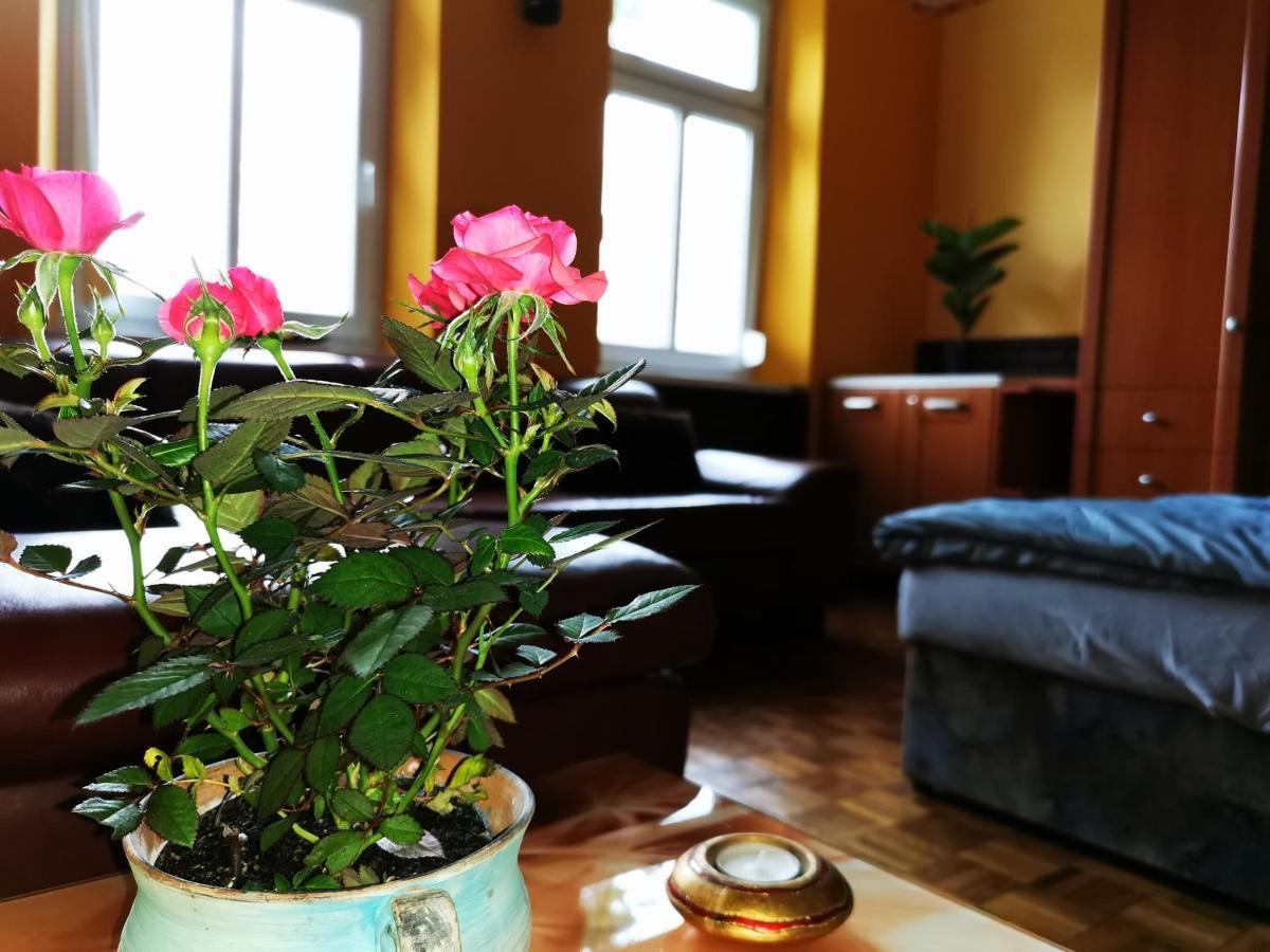 Lehel Apartman Keszthely Εξωτερικό φωτογραφία